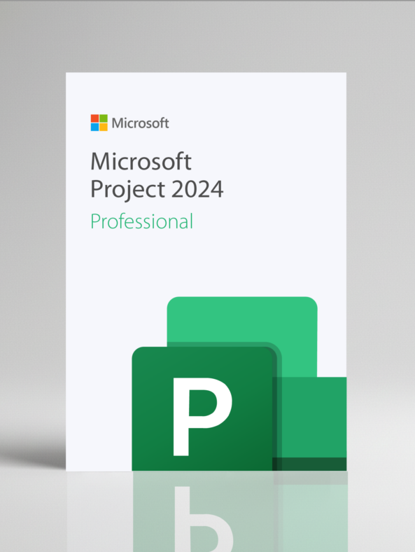 Microsoft Project 2024 Professional